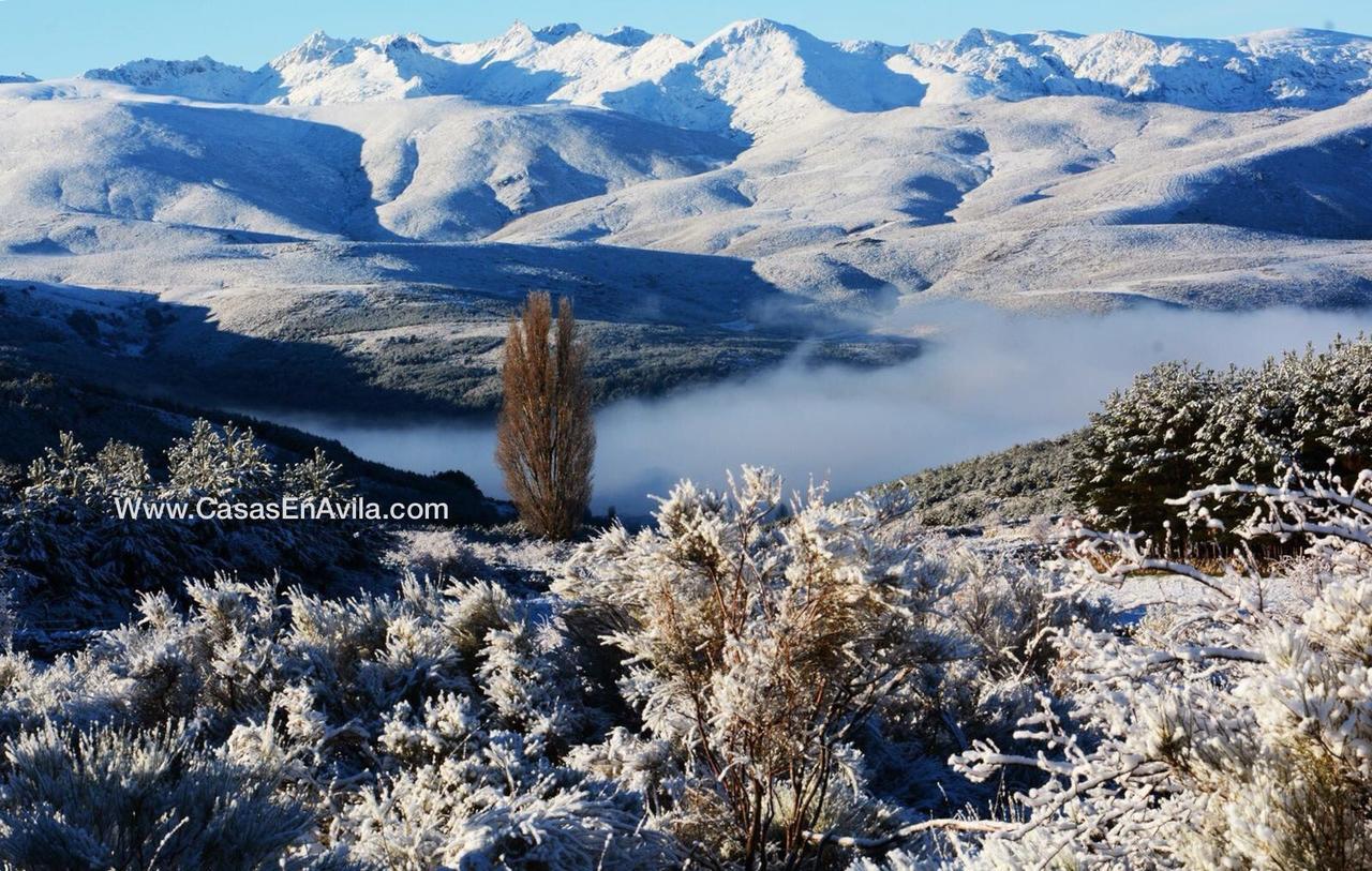 La Pasailla De Gredos Guest House Navacepeda de Tormes ภายนอก รูปภาพ