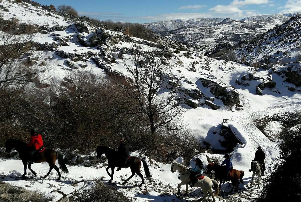 La Pasailla De Gredos Guest House Navacepeda de Tormes ภายนอก รูปภาพ